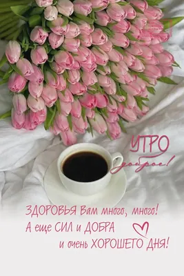 ДОБРОЕ УТРО весна красивые открытки картинки утренние сообщения цитаты  #доброеутро | Открытки, Доброе утро, Праздничные открытки