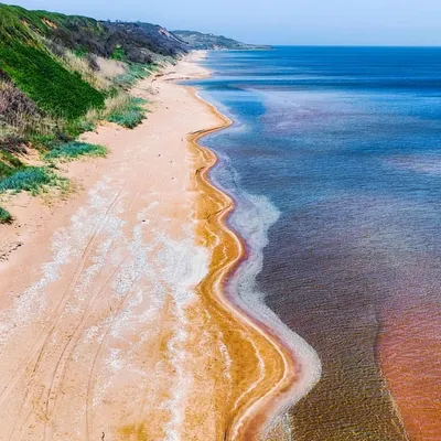 Самые красивые пейзажи на пляже с …» — создано в Шедевруме