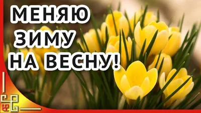 Первый день весны: красивые поздравления и открытки - «ФАКТЫ»