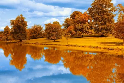 Картинки золотая осень (60 фото)