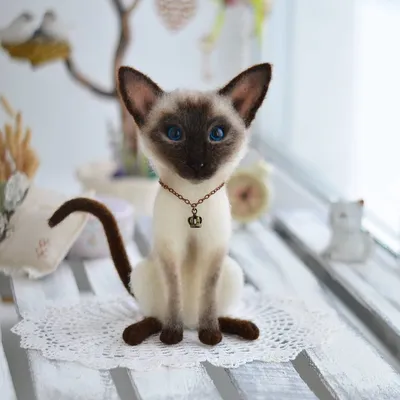 Самые красивые породы кошек в мире | ВКонтакте