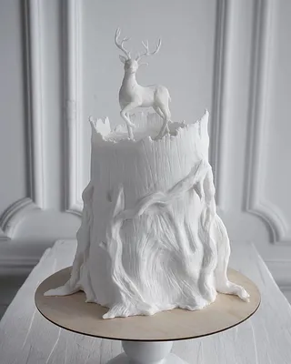 Кондитер из Калининграда создаёт самые красивые торты в мире