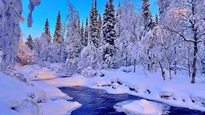 Самые красивые зимние картинки (40 фото) • Прикольные картинки и позитив |  Зимние картинки, Пейзажи, Океанские волны