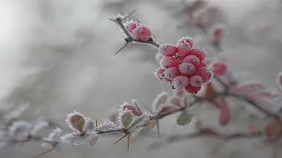 Самые красивые зимние картинки (100 фото) • Прикольные картинки и позитив