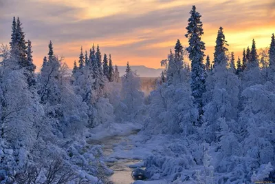 Самые красивые зимние пейзажи...... - skorpy55 - Sports.ru