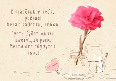 Букет из 9 белых и розовых кустовых хризантем в корейской упаковке купить в  СПб | Фото и видео букета | Артфлора