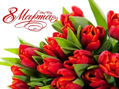 Поздравления с 8 марта: открытки и самые лучшие пожелания - Завтра.UA