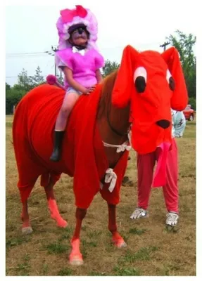 Самые странные и смешные наряды для лошади - Фотохронограф