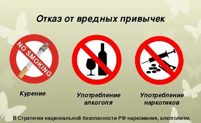 Как алкоголь, уединение и чтение помогают найти гениальное решение и войти  в поток | Forbes.ru