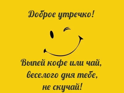 Смешные и прикольные картинки с надписями, для поднятия настроения - 150  картинок