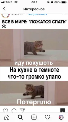 Самые смешные картинки в мире фотографии