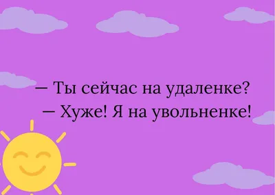 Летящая белка, затаившийся пингвин: самые смешные фото животных 2022 года -  Газета.Ru