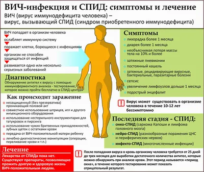 Заболеваемость гриппом и ОРВИ в Петербурге превысила недельный  эпидемический порог — СПб ГБУЗ МИАЦ