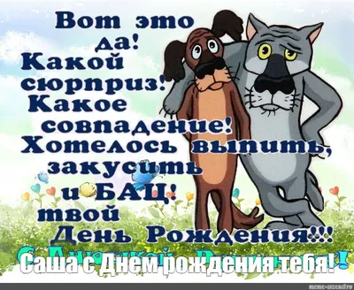 Александр, с Днём Рождения: гифки, открытки, поздравления - Аудио, от  Путина, голосовые