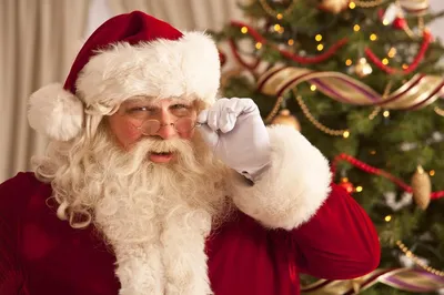 Все, что вы хотели знать о Санта Клаусе: 4 мультфильма и 6 фильмов