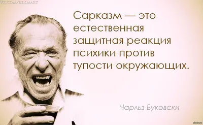 Смешные СМС, наполненных женским сарказмом | ЕНОТ-ПОЛОСКУН | Дзен