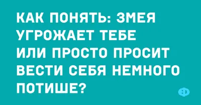 сарказм / смешные картинки и другие приколы: комиксы, гиф анимация, видео,  лучший интеллектуальный юмор.