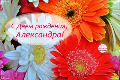 С Днём Рождения, Александр! 🎉 Очень Красивое Поздравление с Днём Рождения!  🎉🎂🎁 - YouTube