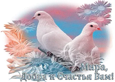 Good morning.... - Good morning. Доброе утро.Счастья Вам