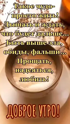 Доброго утра! Счастливого дня!!! | Богиня с юмором | ВКонтакте