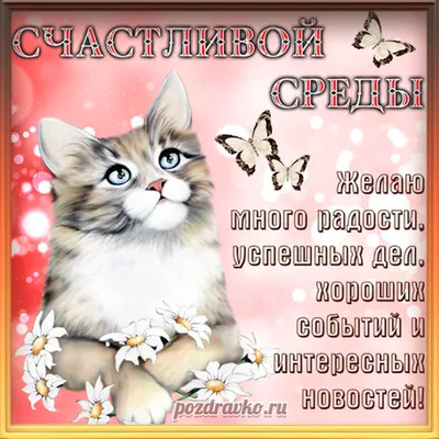 МИР Настроения - 28 АПРЕЛЯ - Счастливой среды!💕 | Facebook