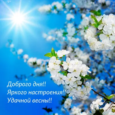 Праздничная программа «Будьте счастливы всегда!» | Государственный  Кремлёвский Дворец