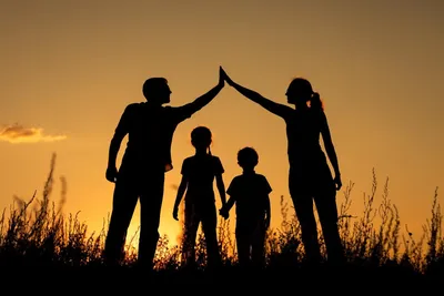 Традиционные семейные ценности: почему молодёжь в них не верит? |  Кочерыжкин | Психология | Дзен