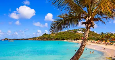 Карибски пирати – Ямайка, Сейнт Мартин/Сен Мартен, Ангила и Кюрасао – CED  Adventures
