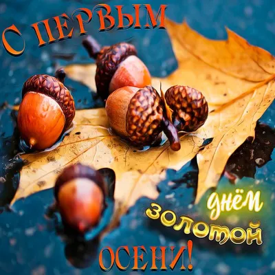 Осенняя открытка — сентябрьский привет