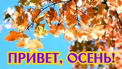 Уютный сентябрьский привет - подборка открыток