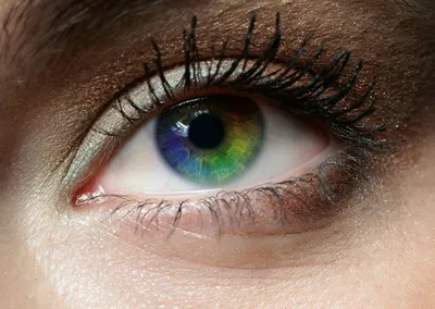 Красивая девушка, серо-зеленые глаза…» — создано в Шедевруме