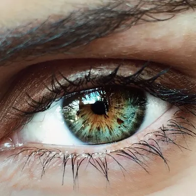 Макияж для серо-зеленых глаз: фото дневного и повседневного макияжа