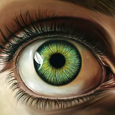 Серо зелено желтые глаза - 73 фото