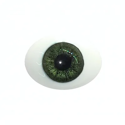 Внимание Closeup Of One Красивые Зеленые Глаза — стоковые фотографии и  другие картинки Зелёный цвет - Зелёный цвет, Люди, Радужная оболочка -  iStock