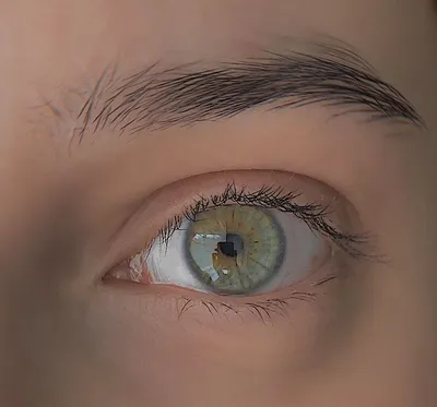 Бездонные серо-зеленые глаза у …» — создано в Шедевруме