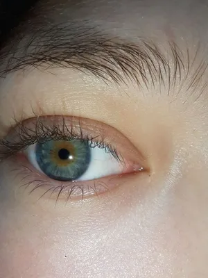 Эстетика серо-голубо-зеленых глаз
