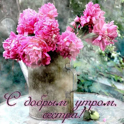 Сестричка!#Доброе#утро!# | TikTok