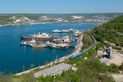 Севастопольская бухта — Википедия