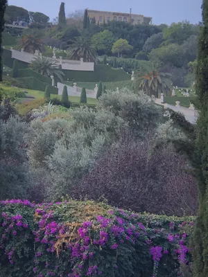 Панорама Иерусалима от севера, Израиля Стоковое Фото - изображение  насчитывающей достопримечательностью, оливки: 64550510