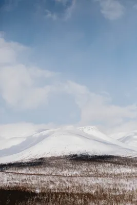 Север России. Хозяйство и быт народов севера. | taiga.co | Дзен