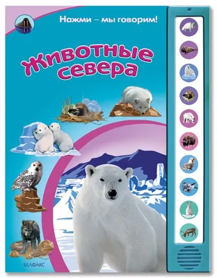 Модульная картина \"Северные животные\" из 7-и частей на холсте | Купить в  интернет-магазине \"Macrosvit\"