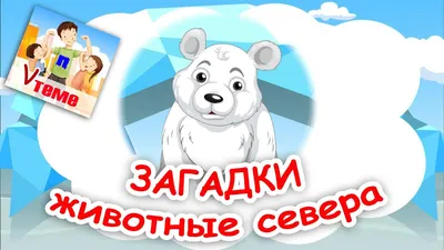 Макет \"Животные севера\" | Craft time, Artwork, Crafts