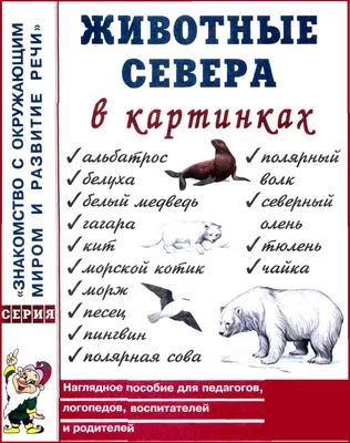 Блог учителя-дефектолога Крот Натальи Вячеславовны!: Животные Севера