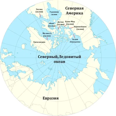 Северный Ледовитый океан предложили переименовать в Русский