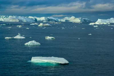 Уникальность Северного Ледовитого океана с точки зрения международного  права – GoArctic.ru – Портал о развитии Арктики