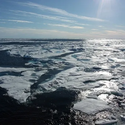 Интересные факты о Северном Ледовитом Океане | Об Арктике и Антарктике |  Дзен