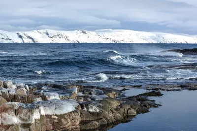 Северный Ледовитый океан - Интересные факты - YouTube