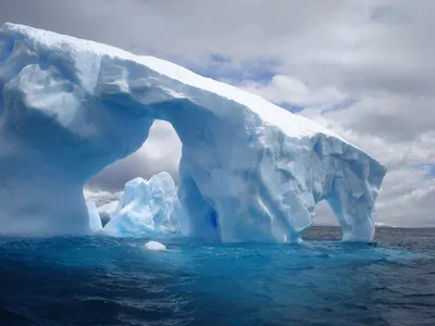 Северный Ледовитый океан - самый маленький и холодный океан в мире:  описание и фото