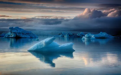 Четыре самых значимых исследования Северного Ледовитого океана - KP.RU