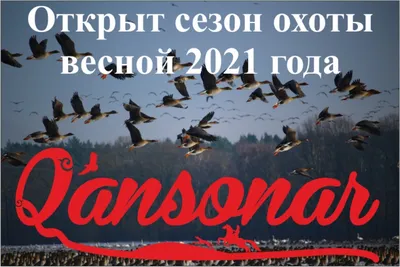 2 DVD диска одним лотом мультфильмы Сезон охоты 1, 2, 3 (Open Season 1, 2,  3) — купить в Красноярске. Состояние: Б/у. Видеозаписи, фильмы на  интернет-аукционе Au.ru